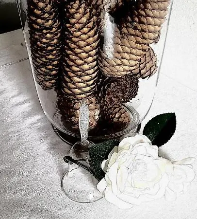 Appartement Casa Chanoux Hone