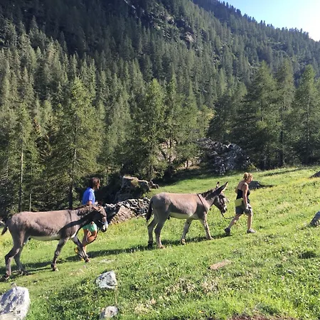 Appartamento Casa Chanoux - Cir 0001 *