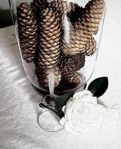 Apartamento Casa Chanoux - Cir 0001 Hone