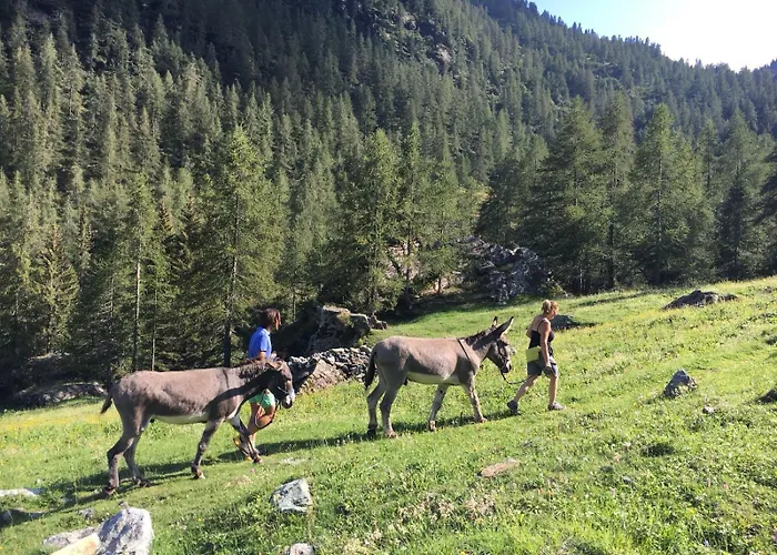 Apartamento Casa Chanoux - Cir 0001 *